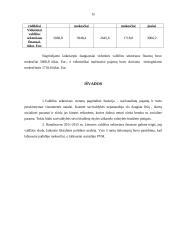 Valdžios sektoriaus finansų statistinis tyrimas 12 puslapis