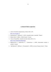 Valdžios sektoriaus finansų statistinis tyrimas 13 puslapis