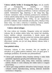 Neigiamas cukraus poveikis 3 puslapis