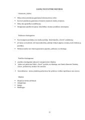 „Srovė“ įmonės veiklos analizė bei probleminių sričių identifikavimas vadybos, marketingo ir apskaitos aspektu  12 puslapis