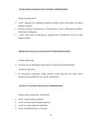 „Srovė“ įmonės veiklos analizė bei probleminių sričių identifikavimas vadybos, marketingo ir apskaitos aspektu  15 puslapis