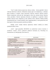 „Srovė“ įmonės veiklos analizė bei probleminių sričių identifikavimas vadybos, marketingo ir apskaitos aspektu  17 puslapis