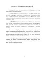 „Srovė“ įmonės veiklos analizė bei probleminių sričių identifikavimas vadybos, marketingo ir apskaitos aspektu  5 puslapis