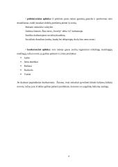 „Srovė“ įmonės veiklos analizė bei probleminių sričių identifikavimas vadybos, marketingo ir apskaitos aspektu  6 puslapis