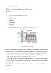 Vidaus degimo variklių referatas 4 puslapis