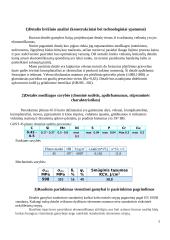 Veleno paruošimas masinei ir vienetinei gamybai 3 puslapis