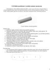 Veleno paruošimas masinei ir vienetinei gamybai 4 puslapis