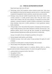 Kompiuteriniai virusai referatas 11 puslapis