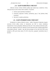 Kompiuteriniai virusai referatas 12 puslapis