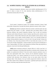 Kompiuteriniai virusai referatas 13 puslapis