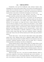 Kompiuteriniai virusai referatas 7 puslapis