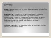 Vaiko gerovės samprata mokslinėje literatūroje. Edukologija 3 puslapis
