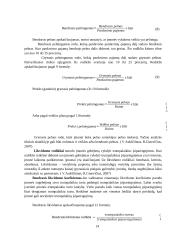 Komodos įdiegimo atsiperkamumo analizė 14 puslapis