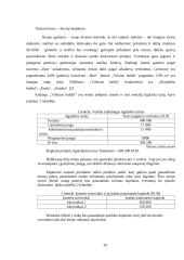 Komodos įdiegimo atsiperkamumo analizė 20 puslapis