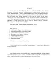 Komodos įdiegimo atsiperkamumo analizė 5 puslapis