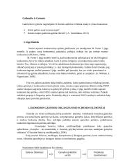 Komodos įdiegimo atsiperkamumo analizė 7 puslapis