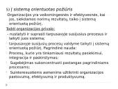ISO 9000:2000 kokybės vadybos šeimos standartai 11 puslapis