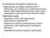 ISO 9000:2000 kokybės vadybos šeimos standartai 12 puslapis