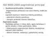 ISO 9000:2000 kokybės vadybos šeimos standartai 7 puslapis