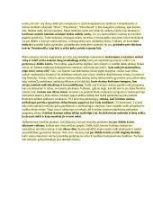 Filosofijos argumentacinis esė 2 puslapis