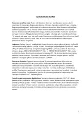 Metalinių konstrukcijų skaičiavimo kursinis darbas 2 puslapis