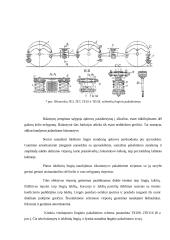 Lokomotyvų vežimėlių ir kėbulų virpesių slopinimo įrenginių konstrukciniai sprendimai 11 puslapis