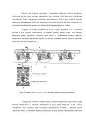 Lokomotyvų vežimėlių ir kėbulų virpesių slopinimo įrenginių konstrukciniai sprendimai 12 puslapis