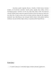 Lokomotyvų vežimėlių ir kėbulų virpesių slopinimo įrenginių konstrukciniai sprendimai 17 puslapis