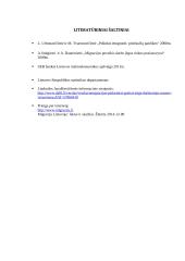 Emigracijos problemos ir jų daroma įtaka Lietuvos darbo rinkai 10 puslapis