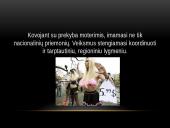 Prekyba moterimis 7 puslapis