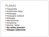 Insulto pristatymas 2 puslapis