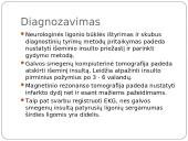 Insulto pristatymas 14 puslapis