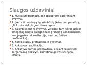 Insulto pristatymas 15 puslapis