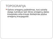 Insulto pristatymas 3 puslapis