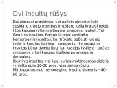 Insulto pristatymas 5 puslapis