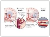 Insulto pristatymas 6 puslapis