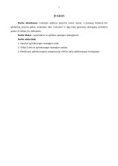 Aplinkosaugos strategijos 2 puslapis