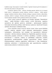 Aplinkosaugos strategijos 11 puslapis