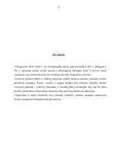 Aplinkosaugos strategijos 12 puslapis