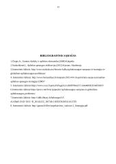 Aplinkosaugos strategijos 13 puslapis
