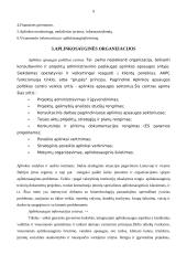 Aplinkosaugos strategijos 9 puslapis
