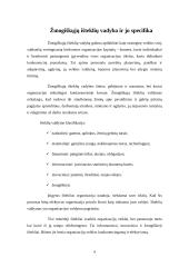 Žmogiškieji ištekliai ir jų valdymo reikšmė organizacijoje 4 puslapis