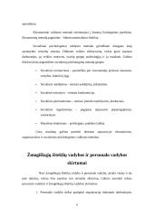 Žmogiškieji ištekliai ir jų valdymo reikšmė organizacijoje 6 puslapis