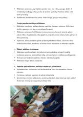 Išplėstinis dailės pamokos planas 2 puslapis