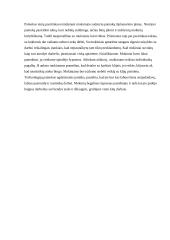 Išplėstinis dailės pamokos planas 5 puslapis