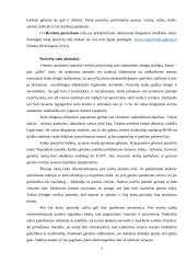 Pusryčių, pietų ir vakarienės stalo akcentai 5 puslapis