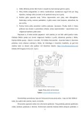 Pusryčių, pietų ir vakarienės stalo akcentai 9 puslapis