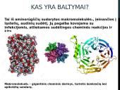 Baltymai. Skaidrės chemijai, biologijai 2 puslapis