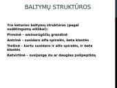 Baltymai. Skaidrės chemijai, biologijai 4 puslapis