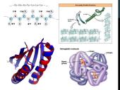 Baltymai. Skaidrės chemijai, biologijai 5 puslapis